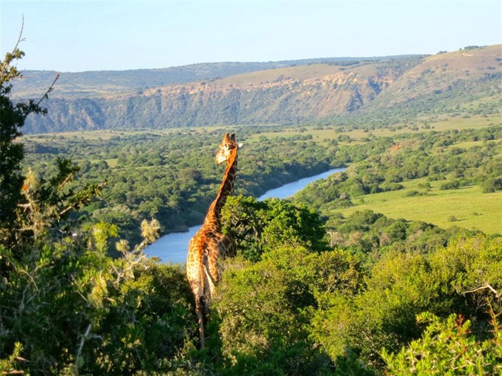 Hlosi Game Lodge